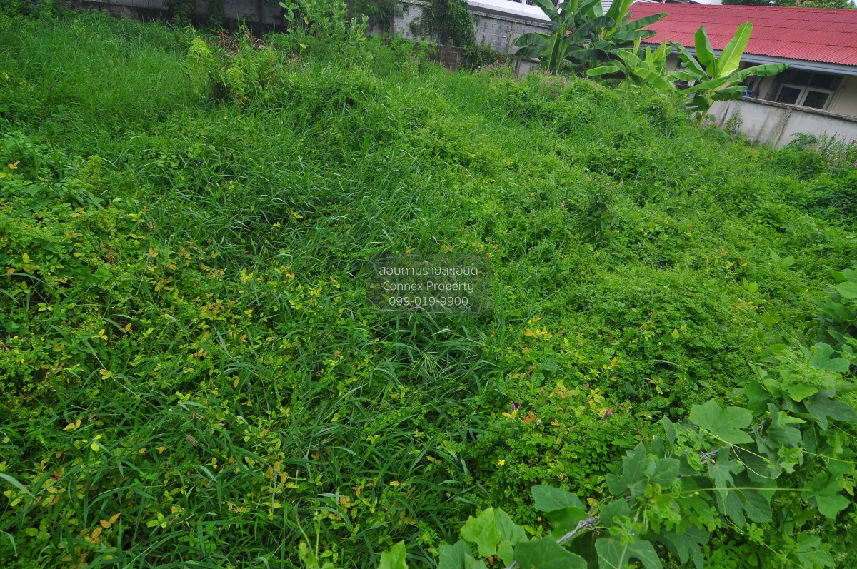 For Sale Land of sukhontee village , Anusawari , Bang Khen , Bang