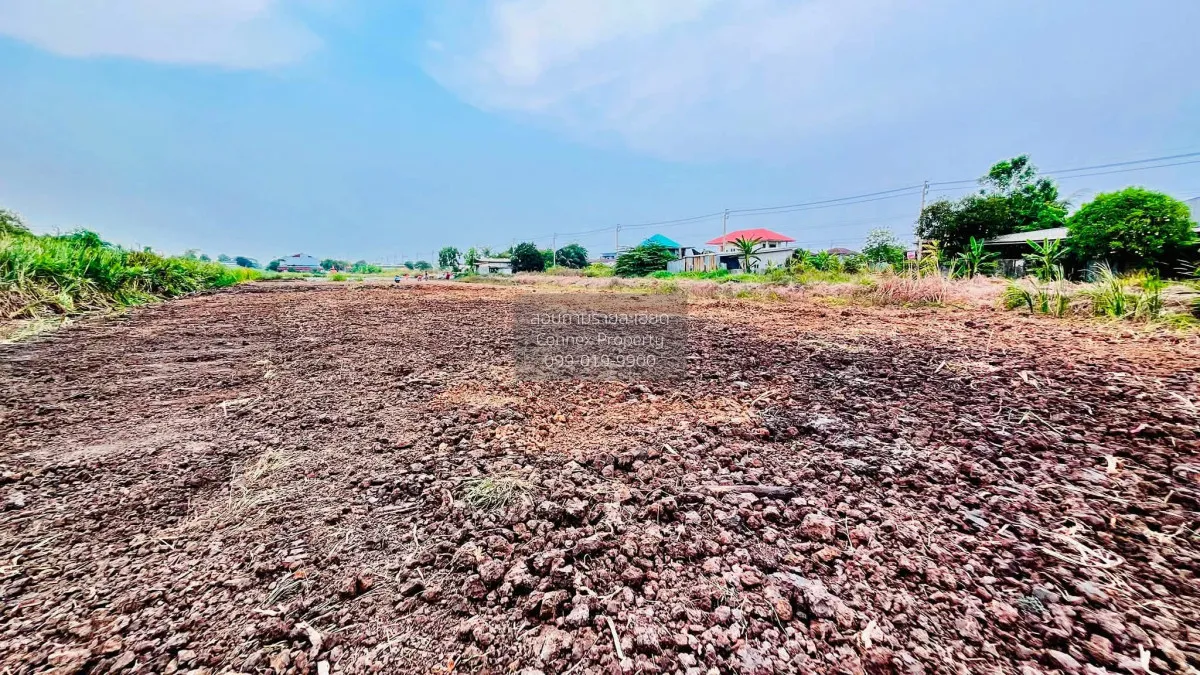 For Sale Land for sale, Soi Liapwari, 50 sq.wa, in the heart of N 1