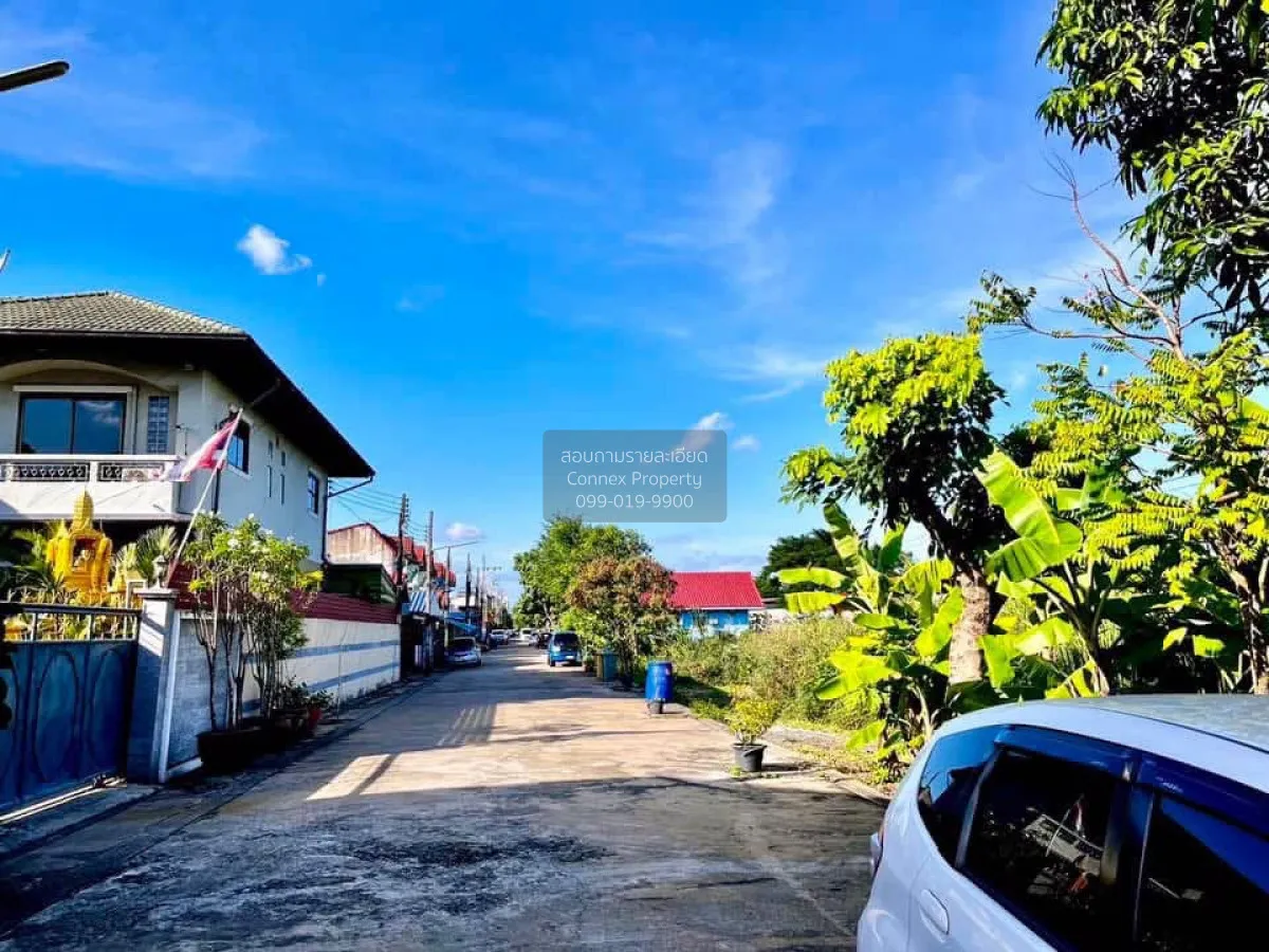For Sale Land for sale, Soi Liapwari, 50 sq.wa, in the heart of N 2