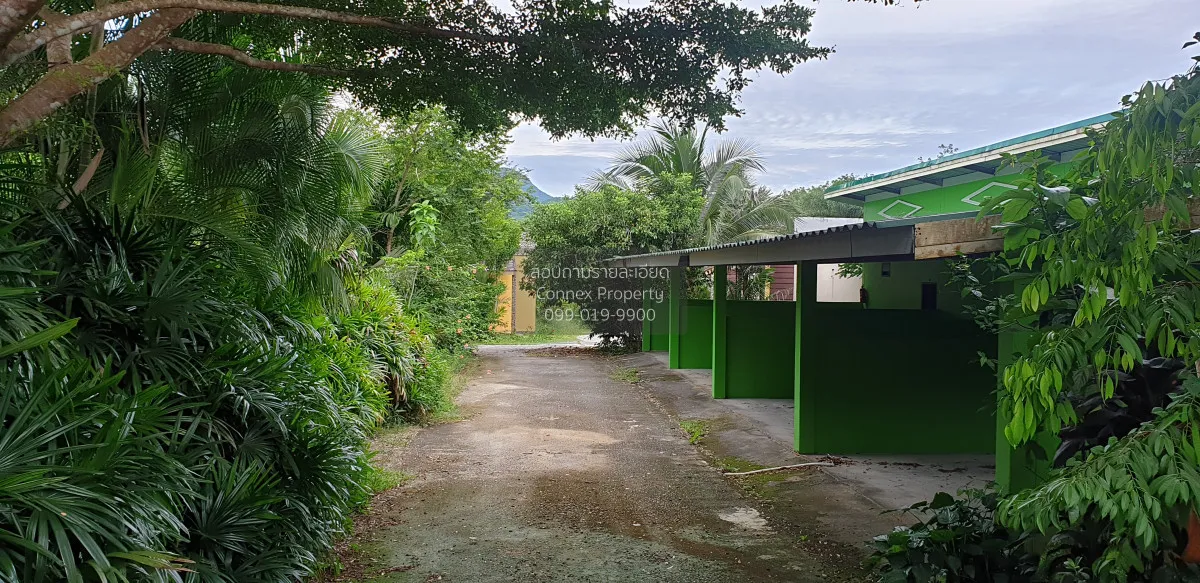 For Sale Land for Sale in Phang Nga with an Old Resort — 1 Rai 3  1