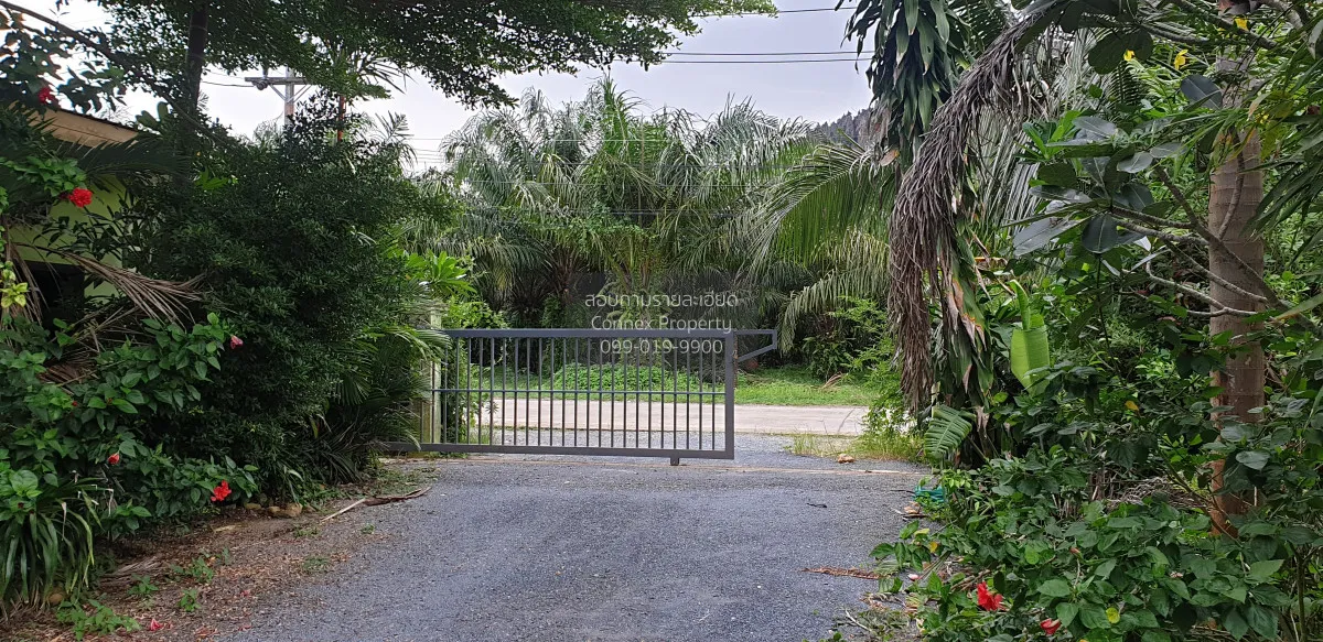 For Sale Land for Sale in Phang Nga with an Old Resort — 1 Rai 3 