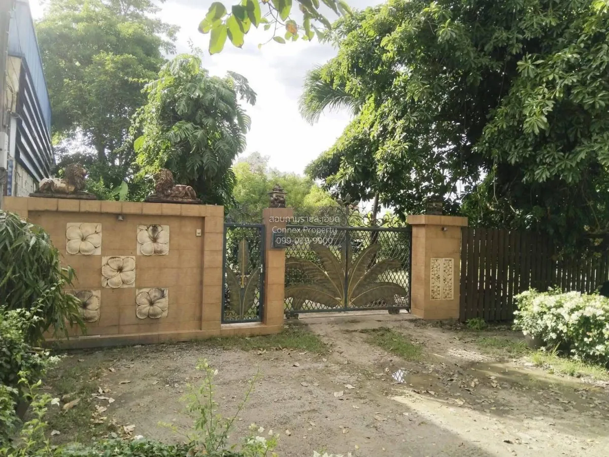 ขายที่ดิน600ตร.ว. พร้อมบ้านมีต้นไม้ใหญ่ บรรยากาศ ร่มรื่น หนองจอก  1