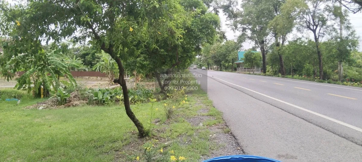 ขายที่ดิน600ตร.ว. พร้อมบ้านมีต้นไม้ใหญ่ บรรยากาศ ร่มรื่น หนองจอก  1