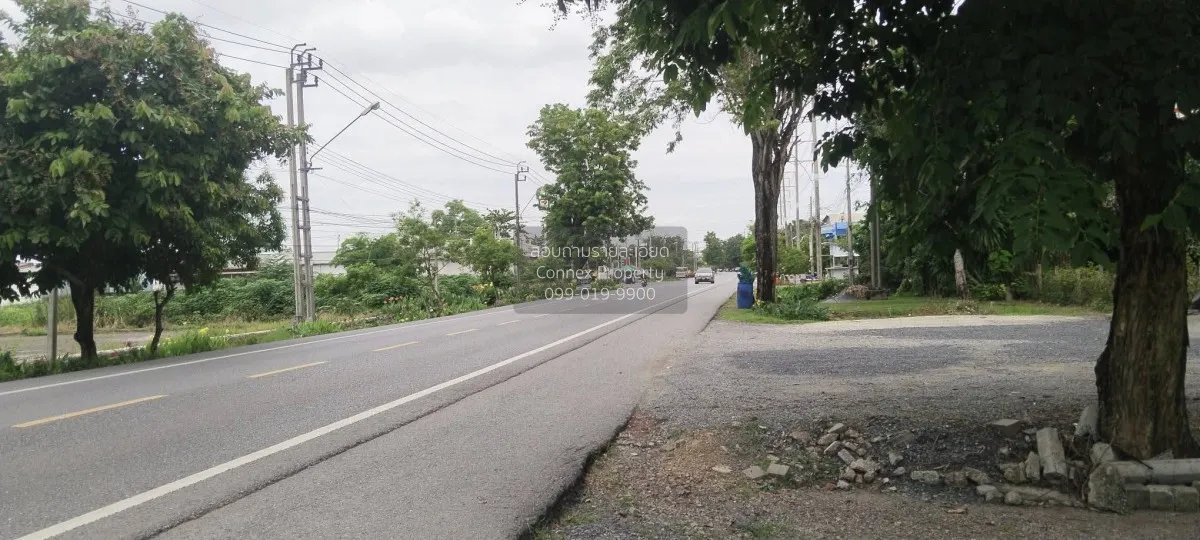 ขายที่ดิน600ตร.ว. พร้อมบ้านมีต้นไม้ใหญ่ บรรยากาศ ร่มรื่น หนองจอก  2