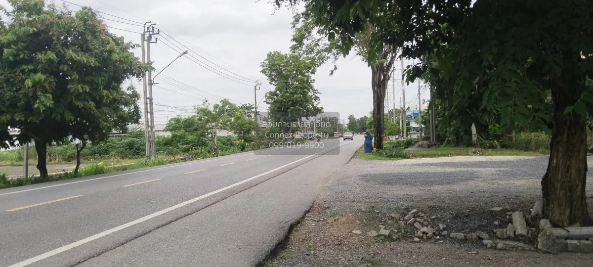 ขายที่ดิน600ตร.ว. พร้อมบ้านมีต้นไม้ใหญ่ บรรยากาศ ร่มรื่น หนองจอก  4