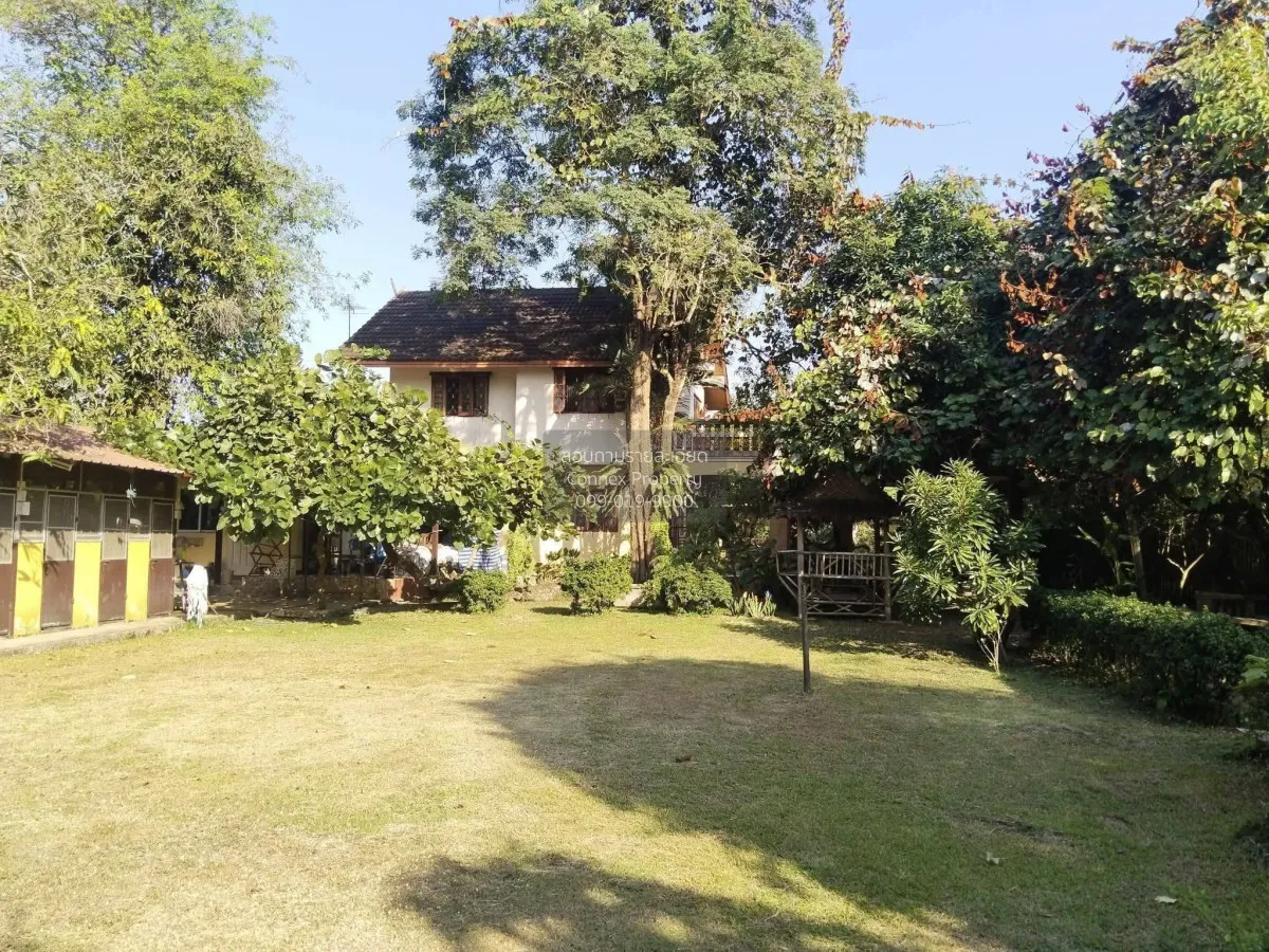 ขายที่ดิน600ตร.ว. พร้อมบ้านมีต้นไม้ใหญ่ บรรยากาศ ร่มรื่น หนองจอก 