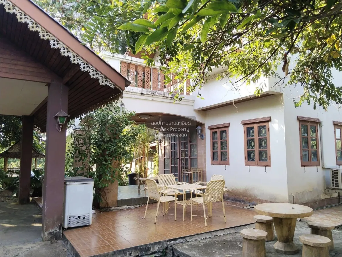 ขายที่ดิน600ตร.ว. พร้อมบ้านมีต้นไม้ใหญ่ บรรยากาศ ร่มรื่น หนองจอก 