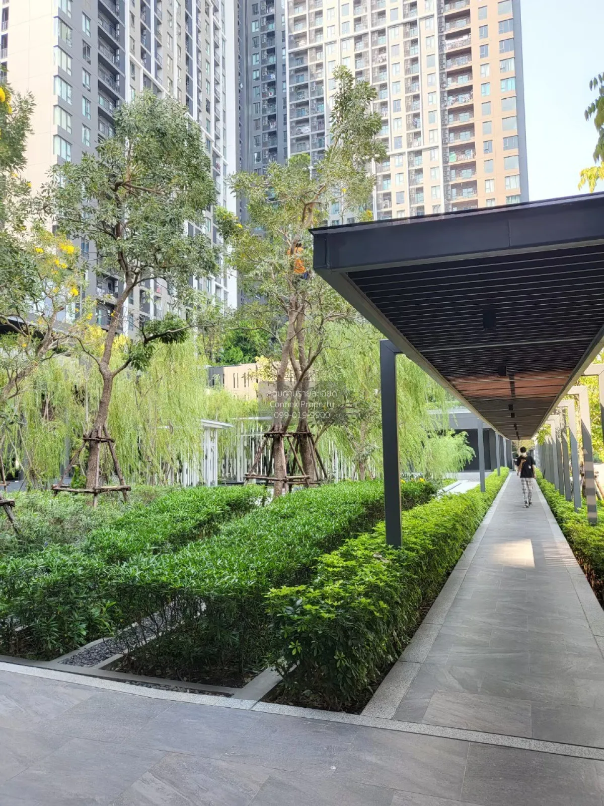 เช่าคอนโด  เดอะพาร์คแลนด์ เพชรเกษม 56 MRT-ภาษีเจริญ บางหว้า เขต ภ