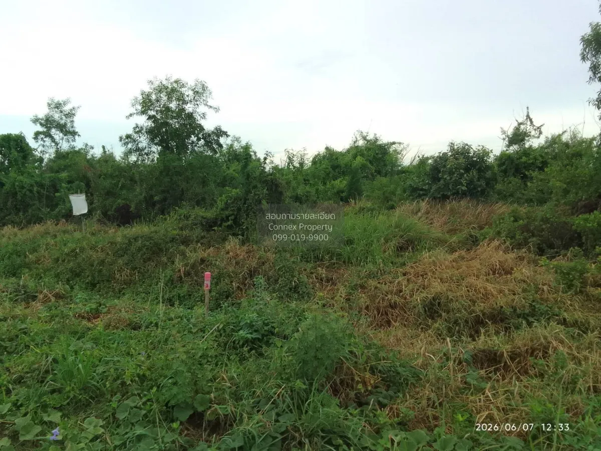 ขายที่ดินเปล่า คลอง 21 ตำบล ดอนเกาะกา ดอนเกาะกา บางน้ำเปรี้ยว ฉะเ 3