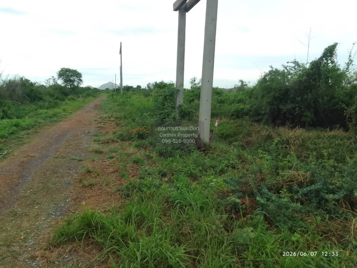 ขายที่ดินเปล่า คลอง 21 ตำบล ดอนเกาะกา ดอนเกาะกา บางน้ำเปรี้ยว ฉะเ 4