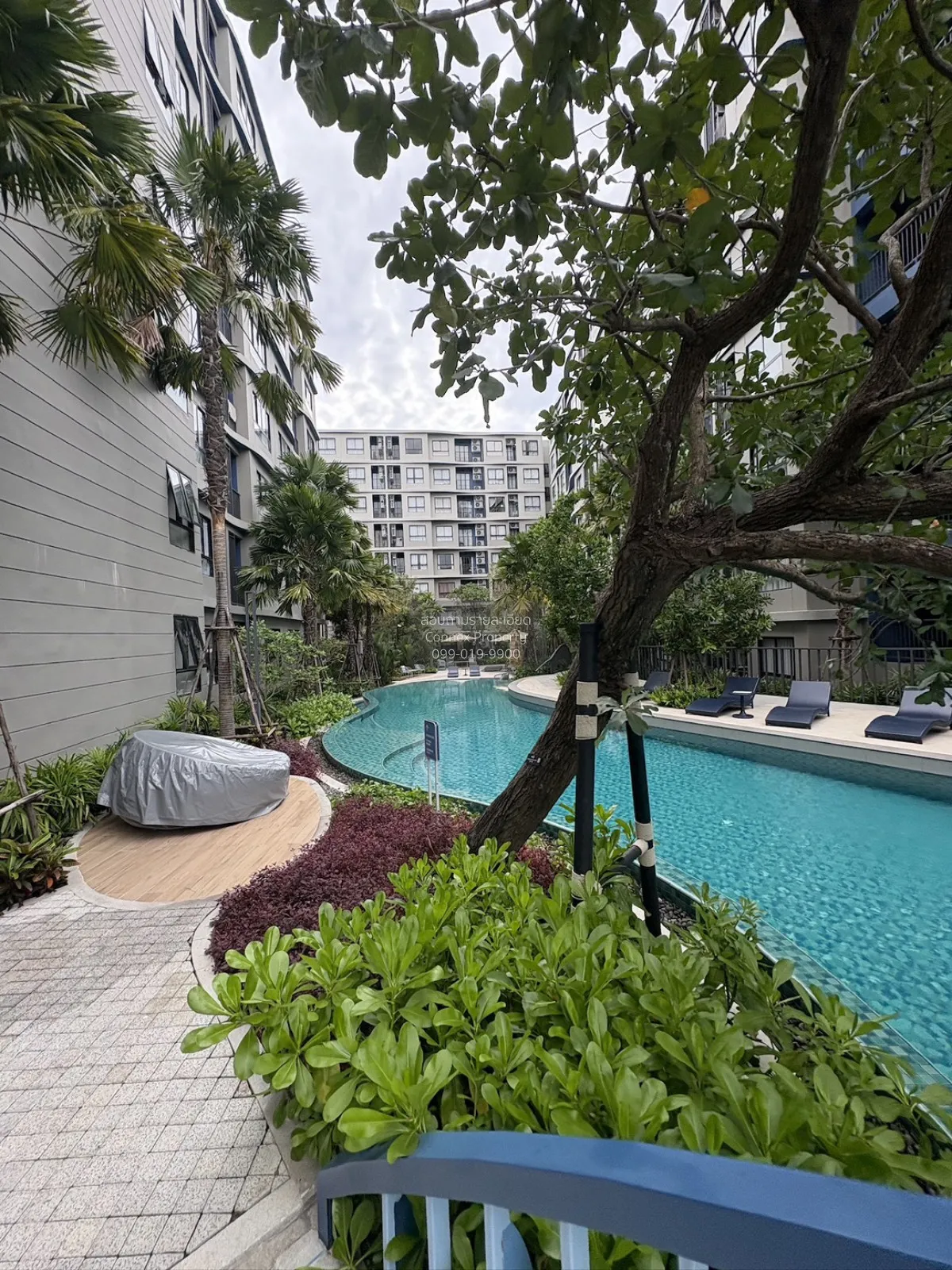 For Rent Condo , dcondo reef Phuket , Kathu , Kathu , Phuket , CX