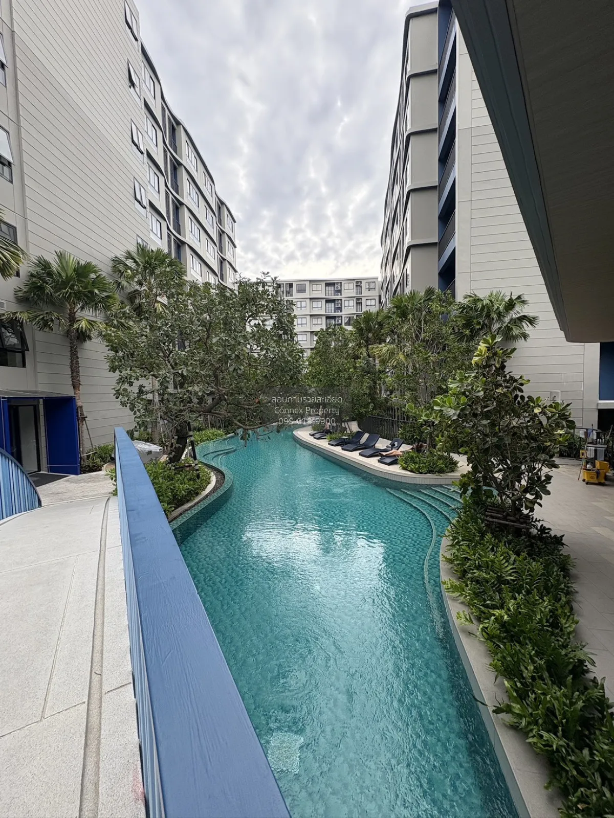 For Rent Condo , dcondo reef Phuket , Kathu , Kathu , Phuket , CX
