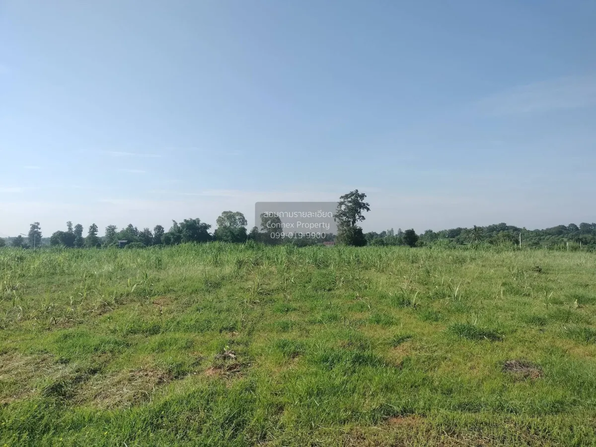 For Sale Beautiful land for sale, excellent location, convenient  1