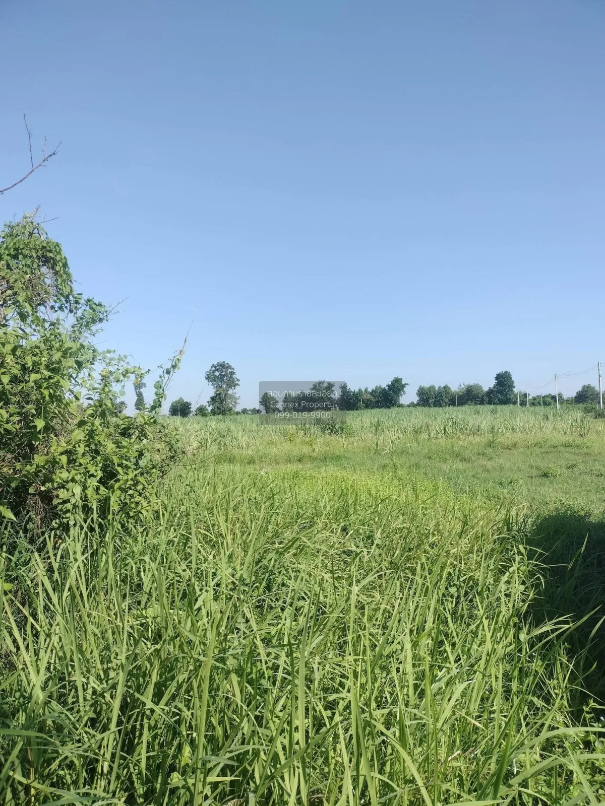 For Sale Beautiful land for sale, excellent location, convenient  2