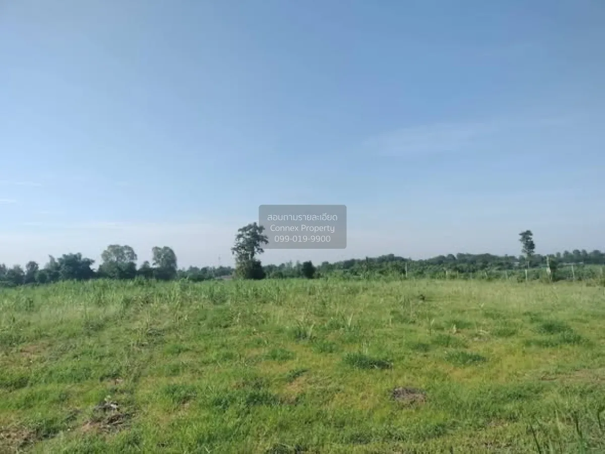 For Sale Beautiful land for sale, excellent location, convenient  3