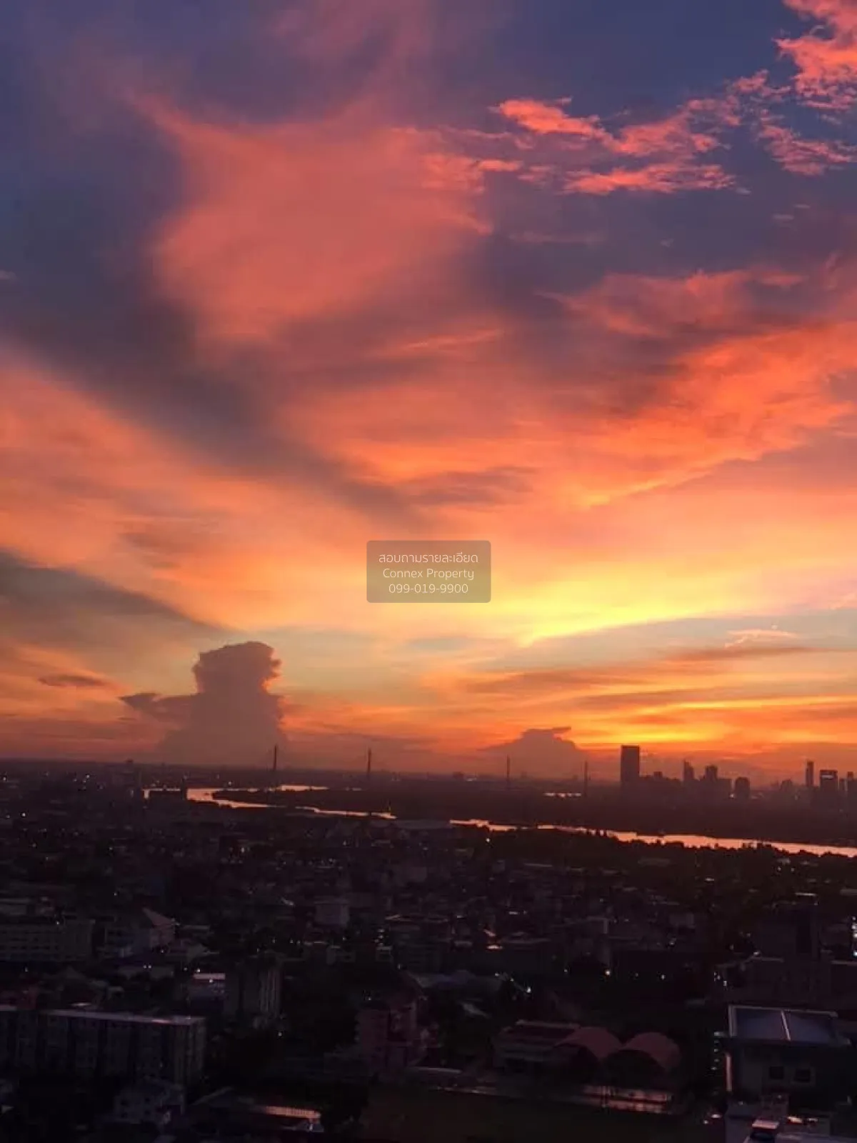 For Rent Condo , Niche Mono Sukhumvit Bearing , BTS-Bearing , Sam