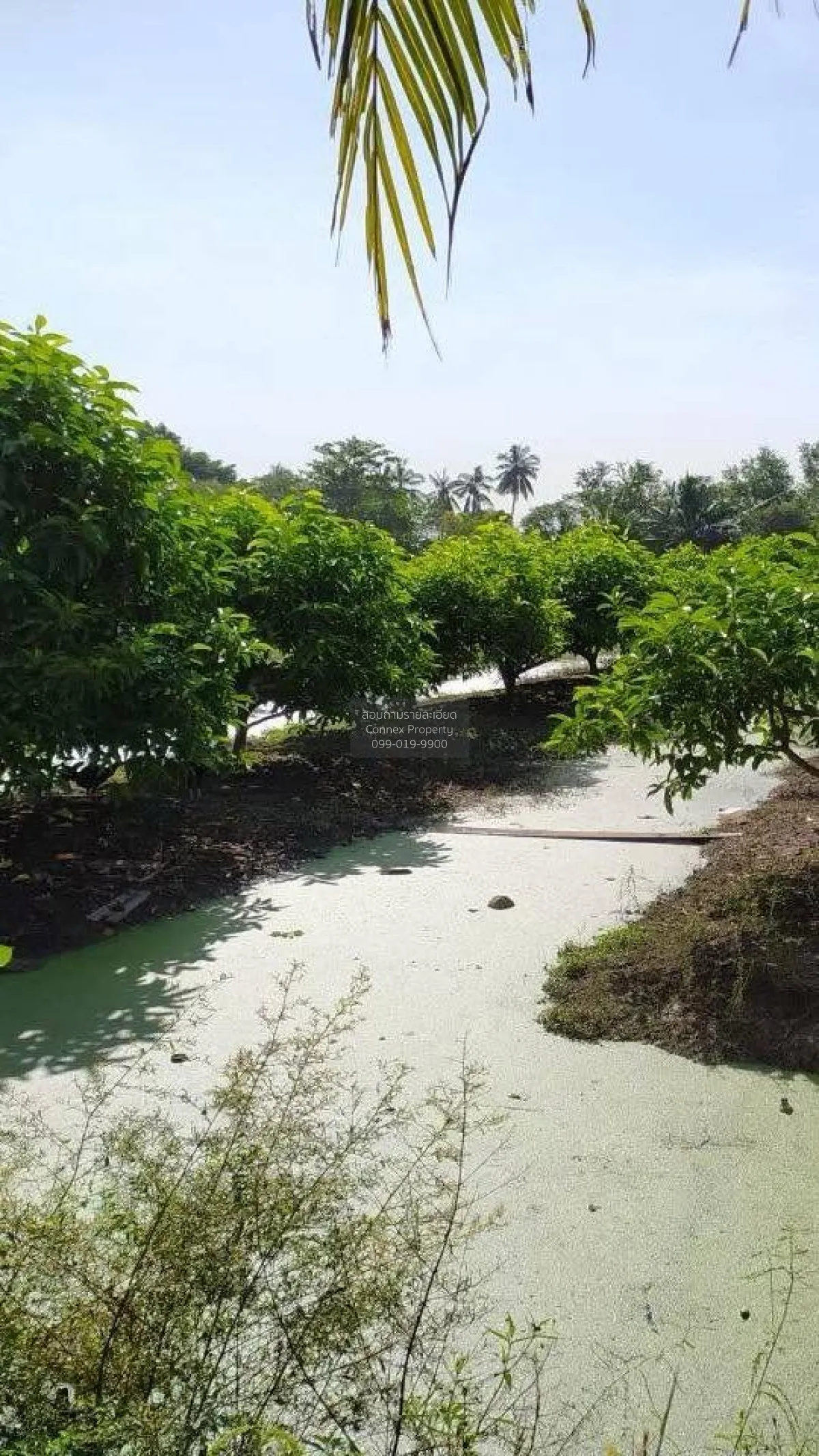ขายที่ดิน2แปลง ถนนเลียบคลองภาษีเจริญฝั่งใต้ ซอย.3 แขวงหนองแขม เขต 1