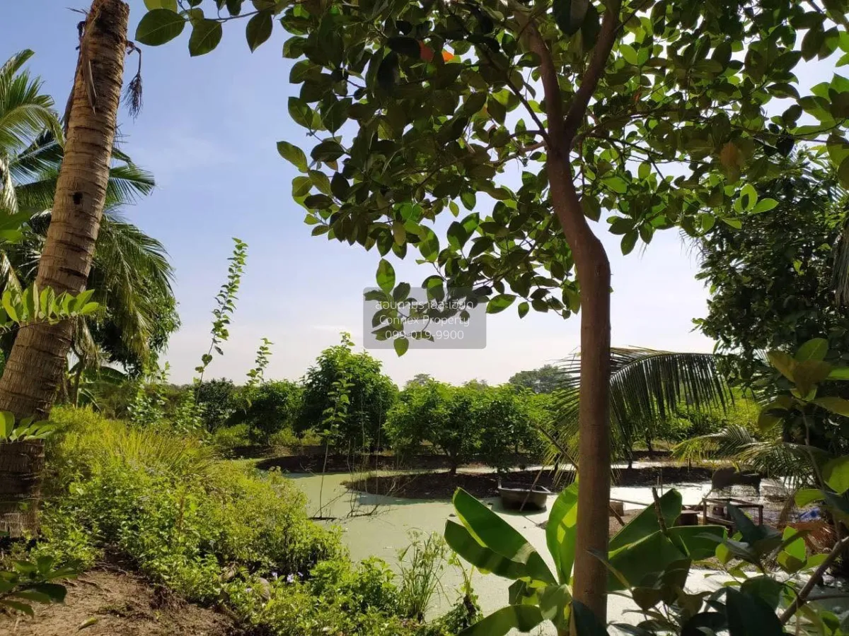 ขายที่ดิน2แปลง ถนนเลียบคลองภาษีเจริญฝั่งใต้ ซอย.3 แขวงหนองแขม เขต 2