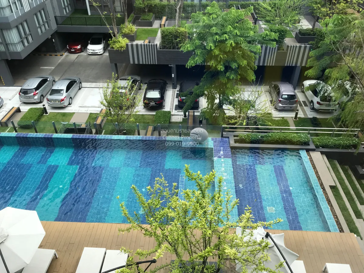 For Rent Condo , Moniiq Sukhumvit 64 , BTS-Punnawithi , Bang Chak