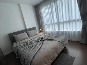ขายคอนโด  ดีคอนโด ครีก ภูเก็ต กะทู้ กะทู้ ภูเก็ต CX-173806