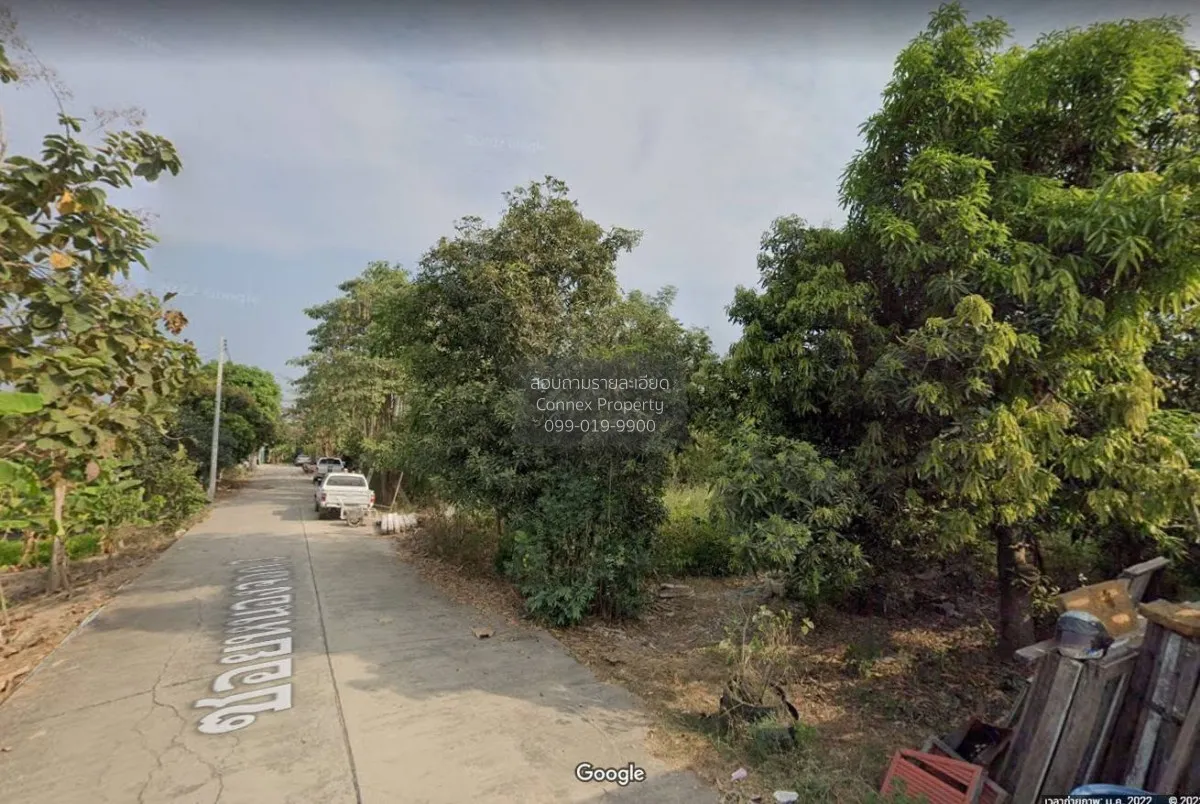 ขายขายที่ดิน สามโคก ปทุมธานี ซ.หนองจอก 3 บ้านปทุม สามโคก ปทุมธานี 1