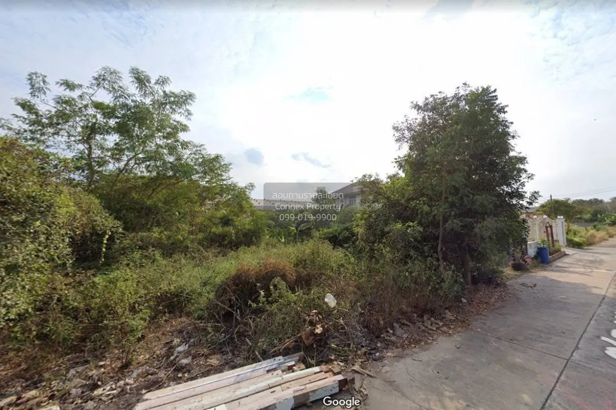 For Sale Land for Sale in Sam Khok, Pathum Thani - Soi Nong Jok 3 3