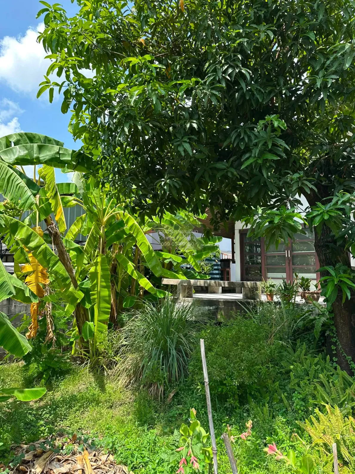 For Sale Newly renovated detached house, Soi Wachirathamsathit 57