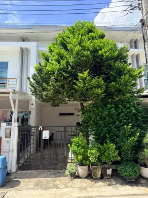ขายทาวน์เฮ้าส์/ทาวน์โฮม  พฤกษาทาวน์ เพชรเกษม 81 หนองแขม เขต หนองแขม กรุงเทพ CX-175416