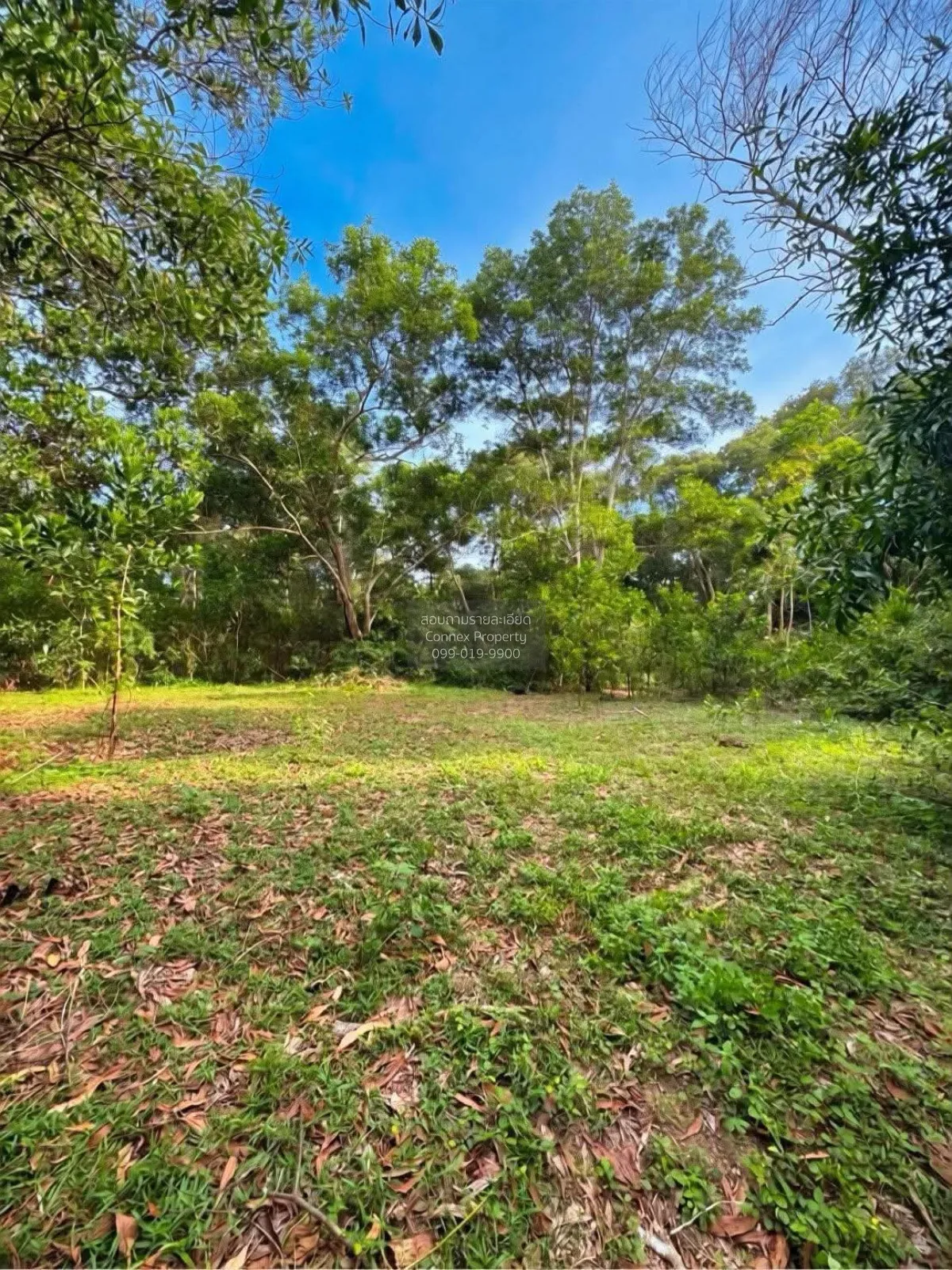 Vacant land located in Mai Khao Subdistrict, Thalang District, Ph 2