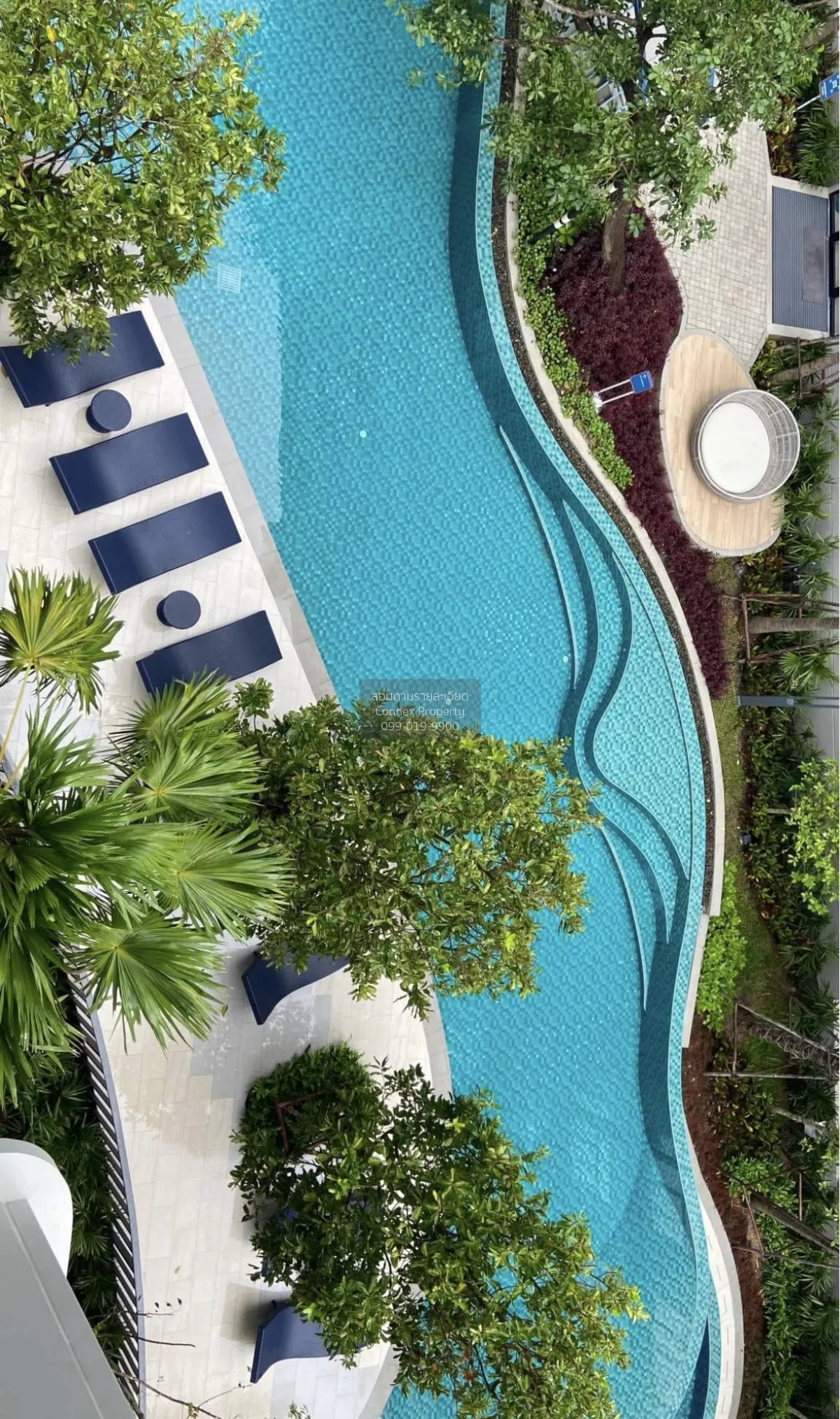 For Rent Condo , dcondo reef Phuket , Kathu , Kathu , Phuket , CX
