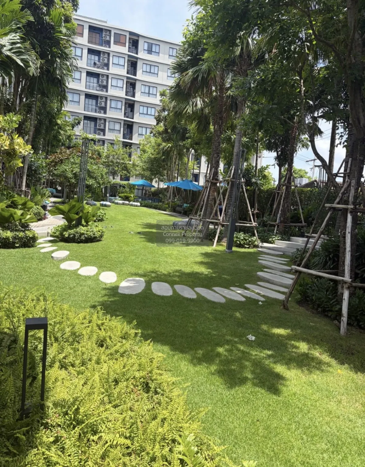 For Rent Condo , dcondo reef Phuket , Kathu , Kathu , Phuket , CX