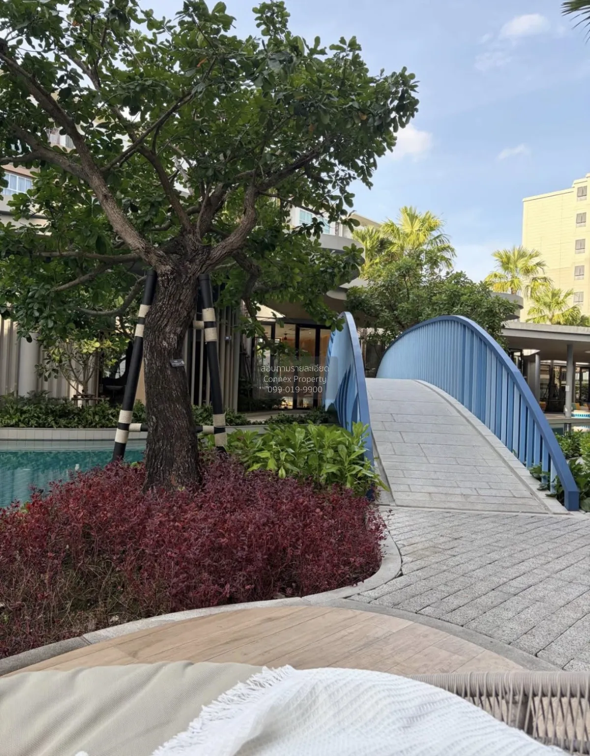 For Rent Condo , dcondo reef Phuket , Kathu , Kathu , Phuket , CX