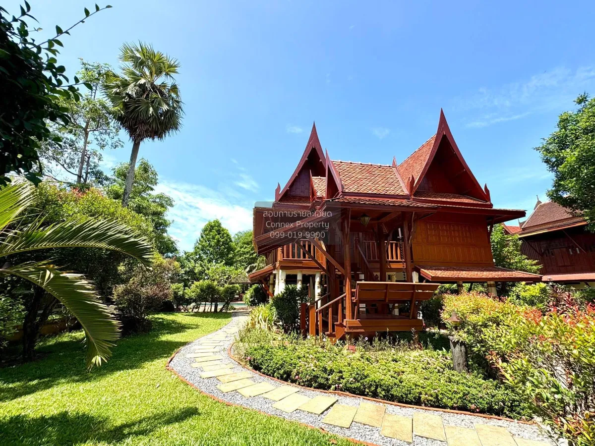 เช่าพูลวิลล่าบ้านทรงไทย เทพกระษัตรี ถลาง ภูเก็ต CX-175853
