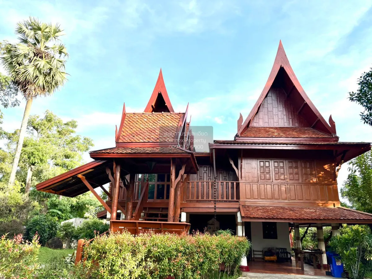 เช่าพูลวิลล่าบ้านทรงไทย เทพกระษัตรี ถลาง ภูเก็ต CX-175853