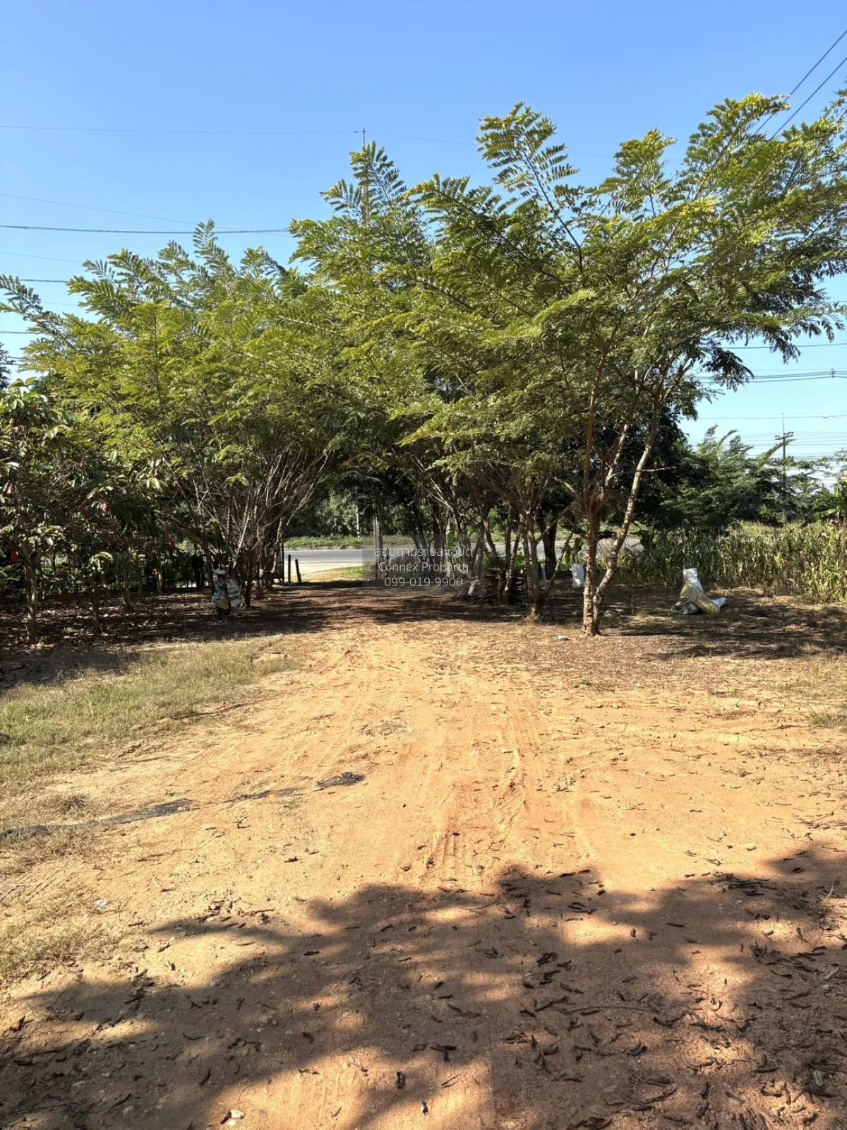 For Sale Riverfront land, Phahonyothin Road, Chiangrai , nice vie 1