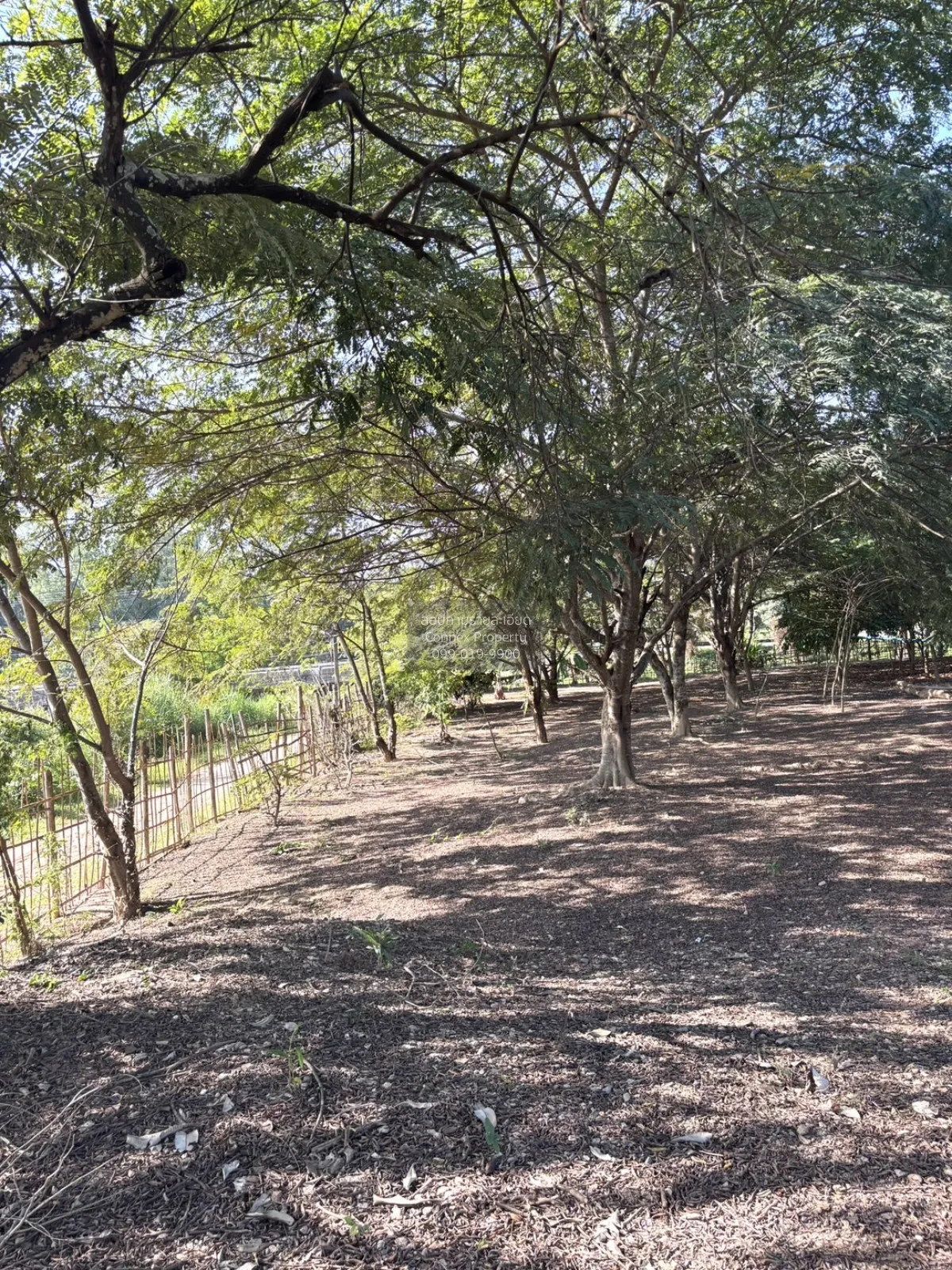 For Sale Riverfront land, Phahonyothin Road, Chiangrai , nice vie 2