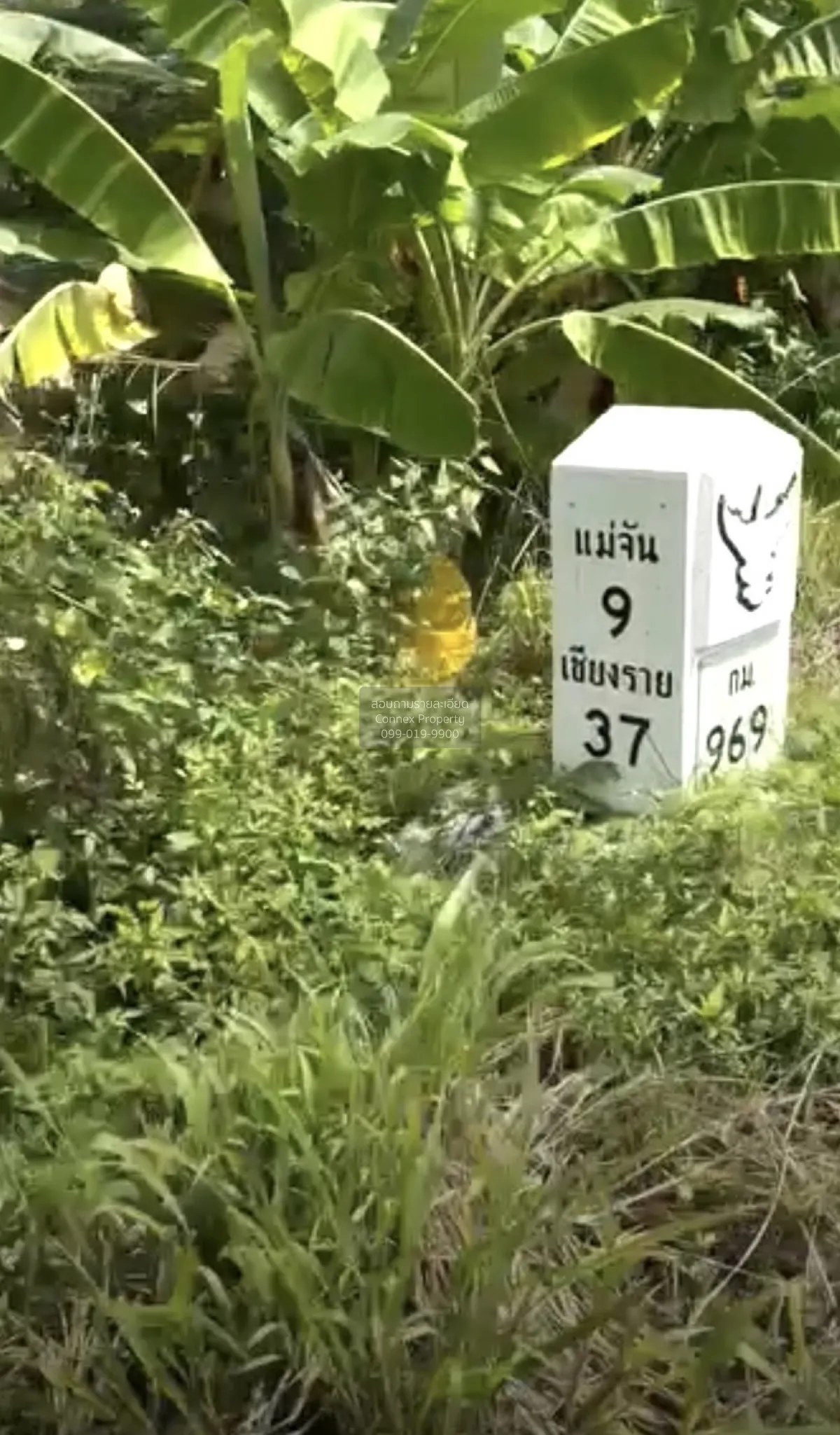 For Sale Riverfront land, Phahonyothin Road, Chiangrai , nice vie