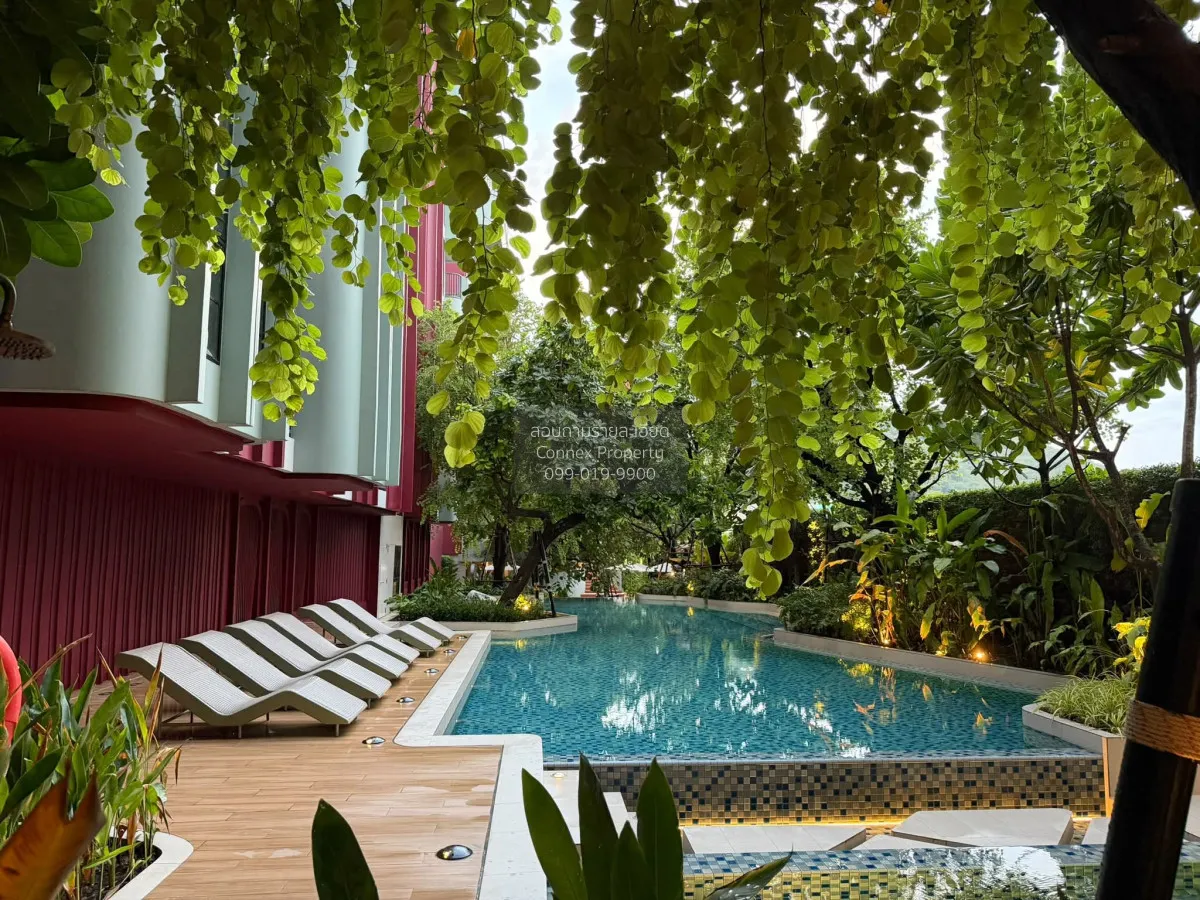 For Rent Condo , The Base Bukit Phuket , Wichit , Mueang Phuket ,
