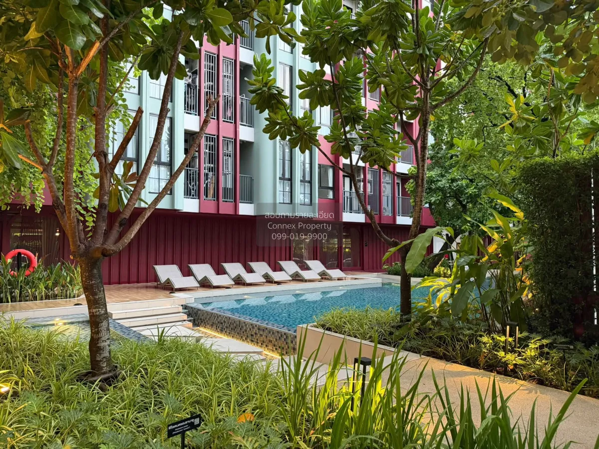 For Rent Condo , The Base Bukit Phuket , Wichit , Mueang Phuket ,