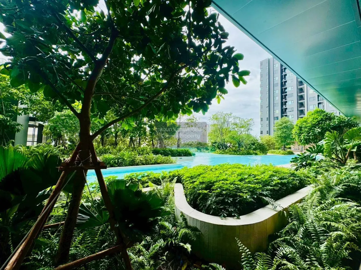 ขายคอนโด  ไลฟ์ สาทร เซียร์รา ดูเพล็กซ์ วิวสวย ชั้นสูง รีโนเวทใหม่