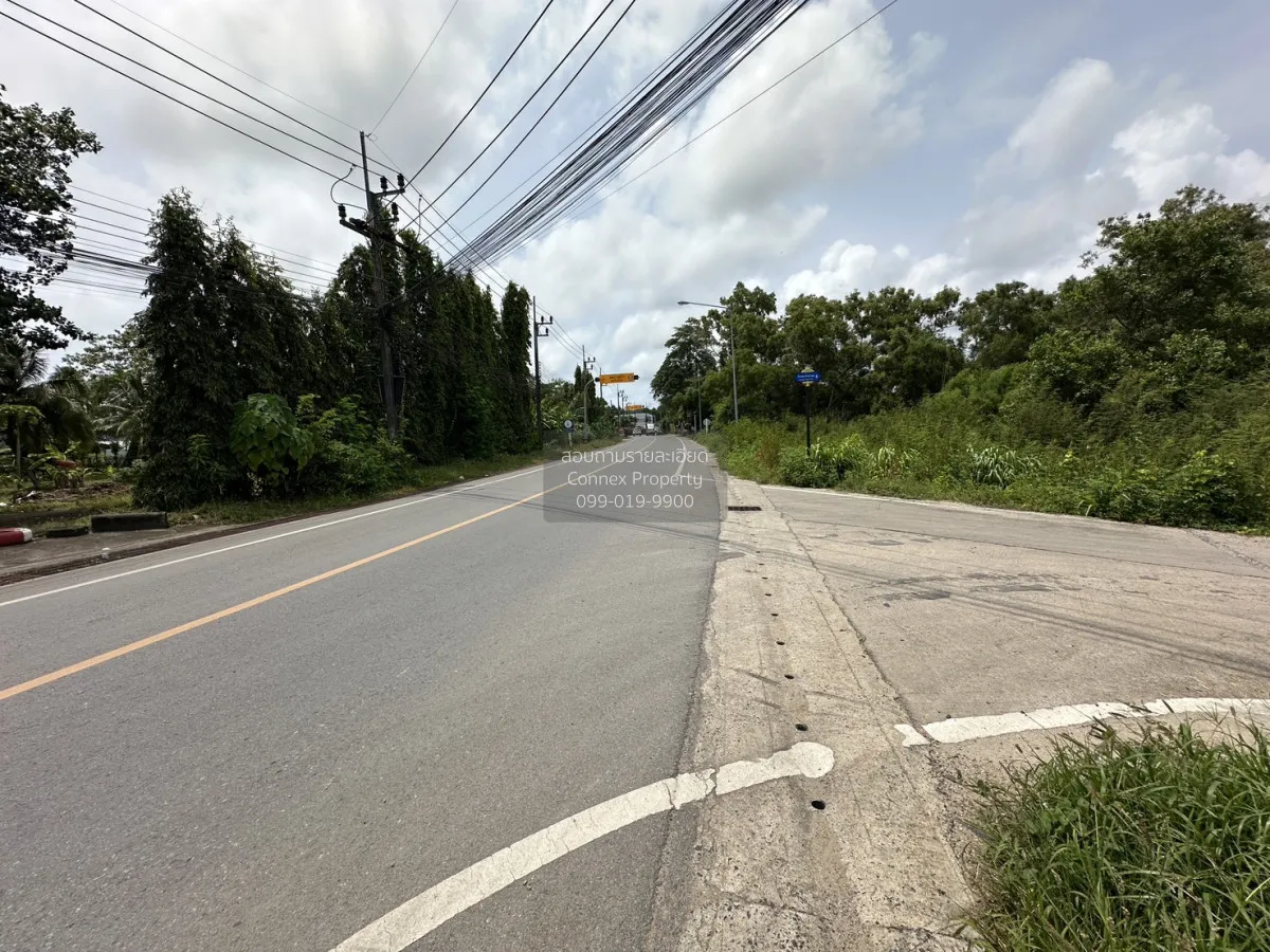 เช่าที่ดินว่างให้เช่า บ้านดอน ถลาง เทพกระษัตรี ถลาง ภูเก็ต CX-176