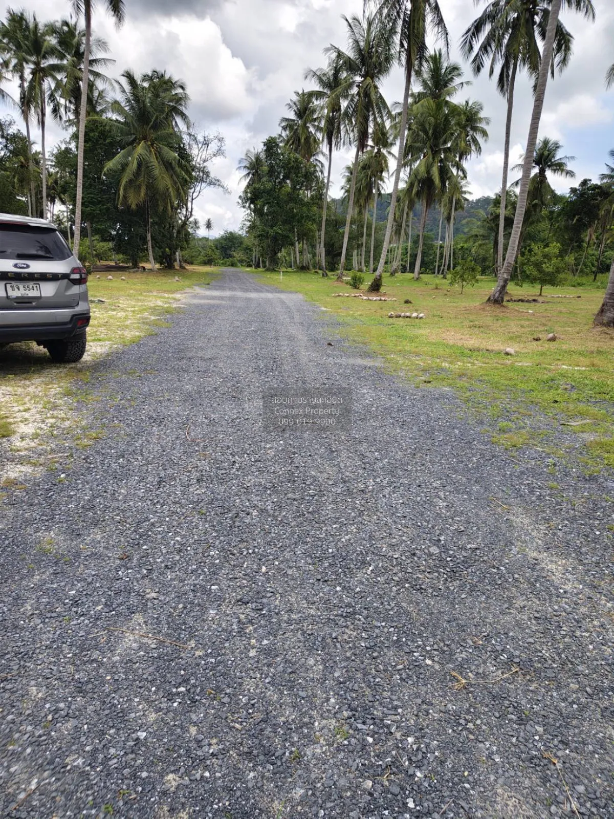 For Sale Land for sell Plakok Thalang Phuket , Pa Khlok , Thalang 3