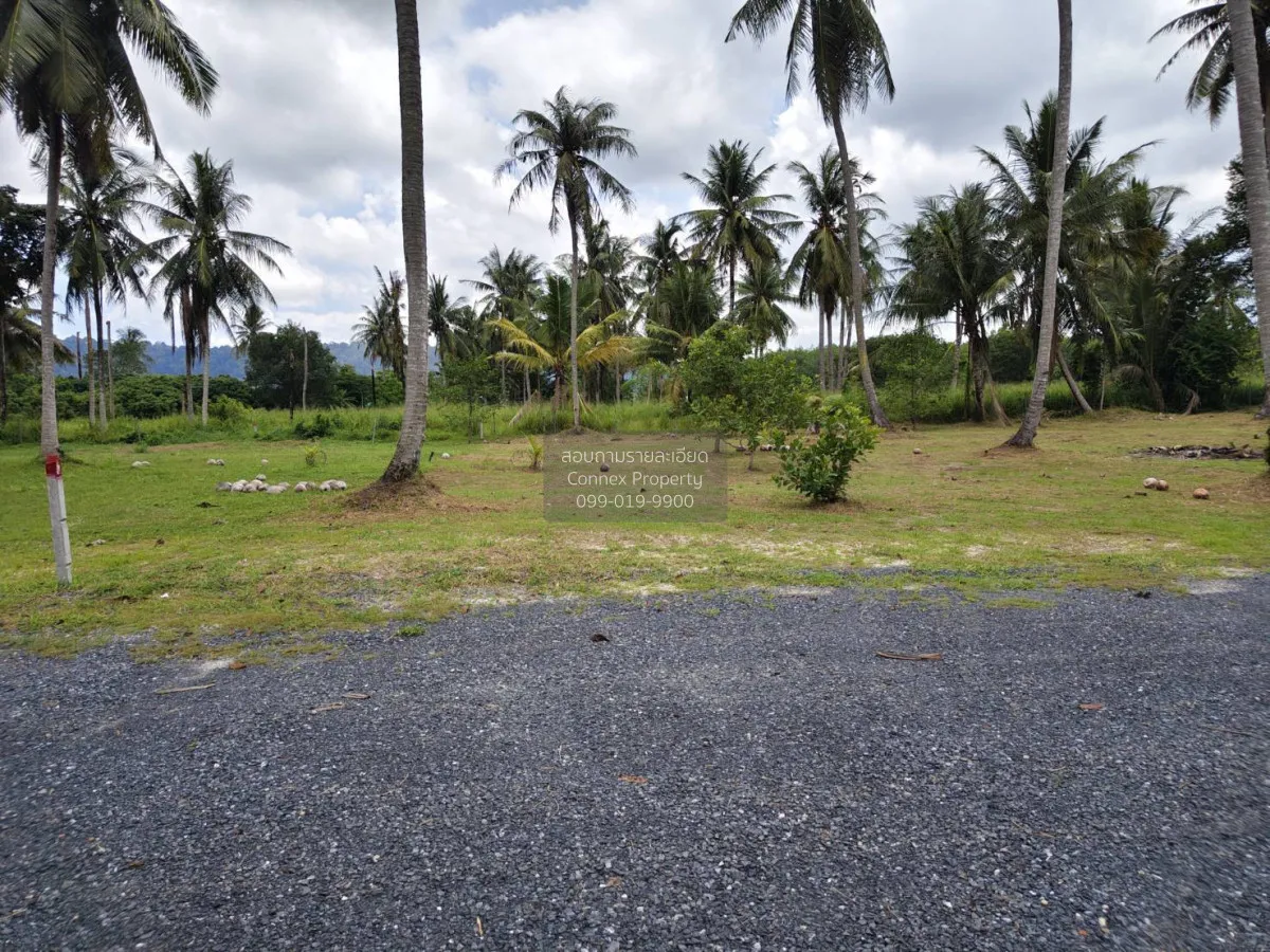 For Sale Land for sell Plakok Thalang Phuket , Pa Khlok , Thalang 4