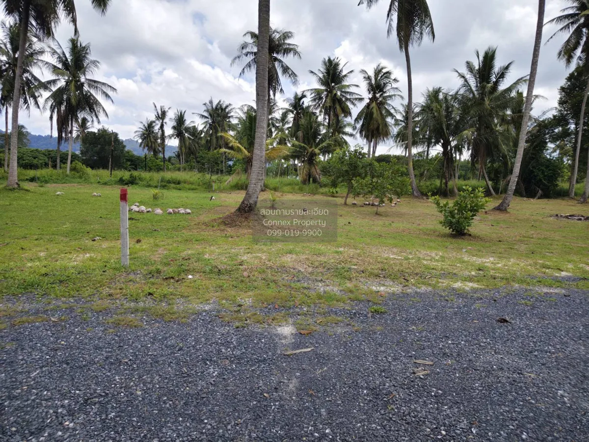 For Sale Land for sell Plakok Thalang Phuket , Pa Khlok , Thalang