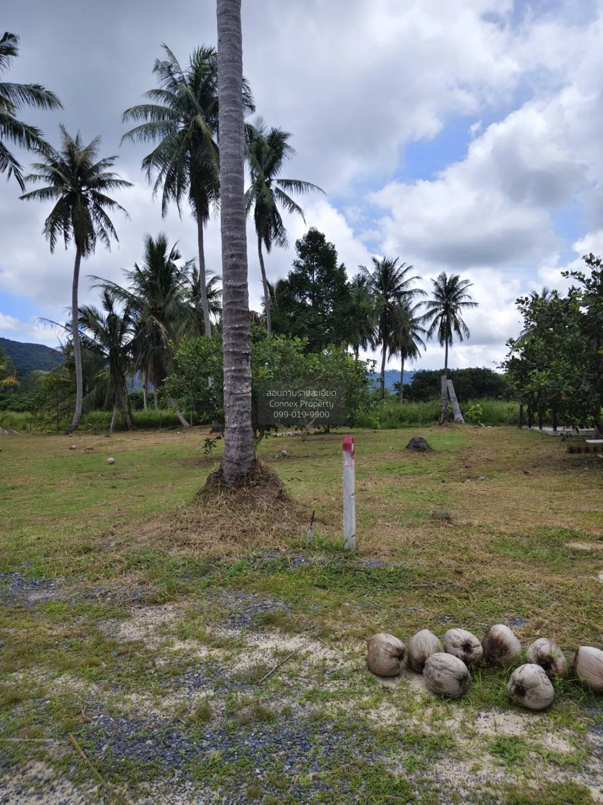 For Sale Land for sell Plakok Thalang Phuket , Pa Khlok , Thalang