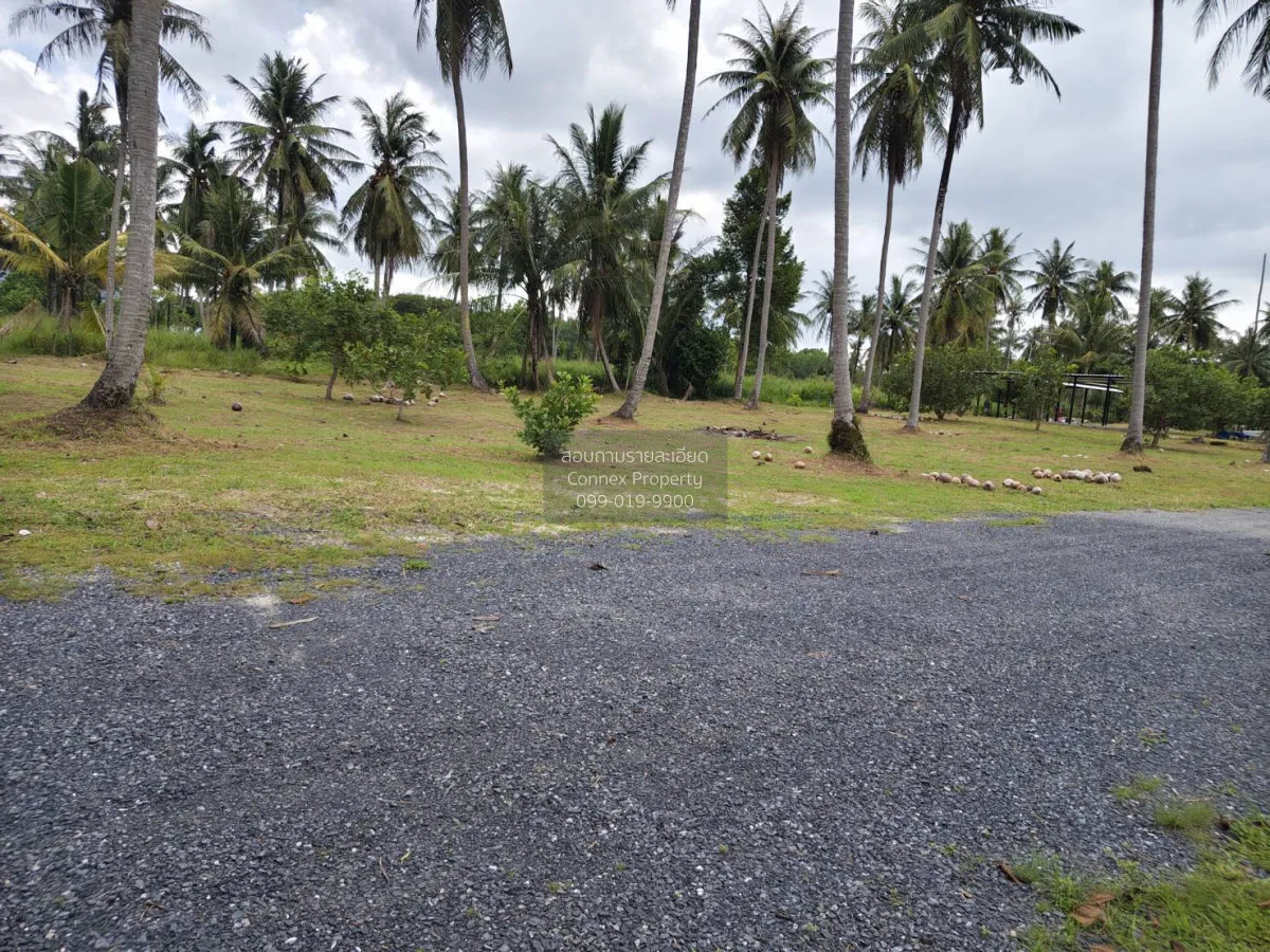 For Sale Land for sell Plakok Thalang Phuket , Pa Khlok , Thalang