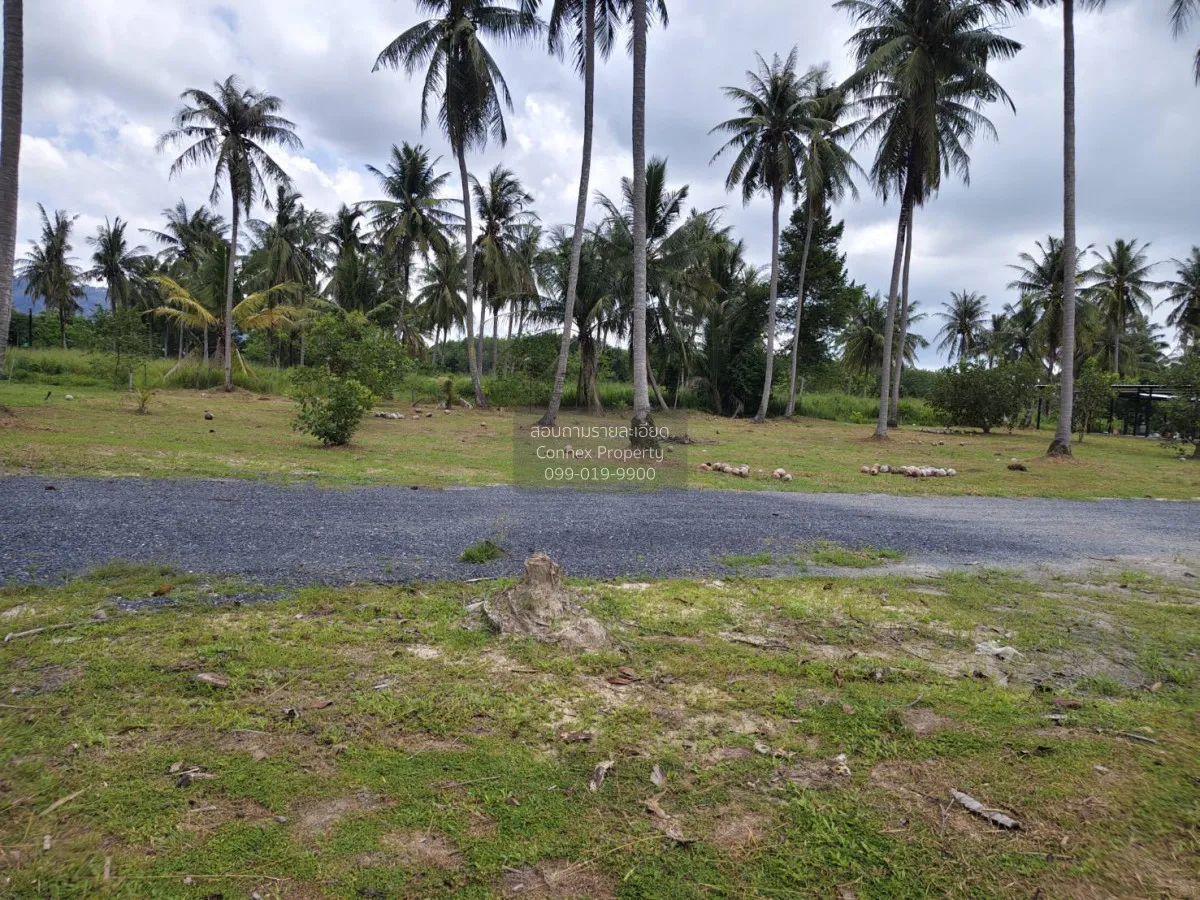 For Sale Land for sell Plakok Thalang Phuket , Pa Khlok , Thalang