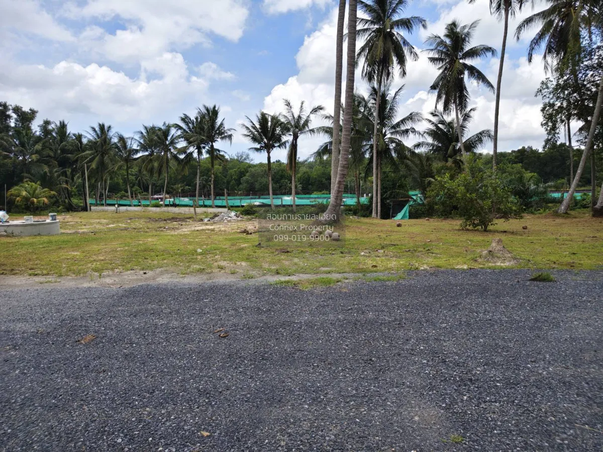 For Sale Land for sell Plakok Thalang Phuket , Pa Khlok , Thalang