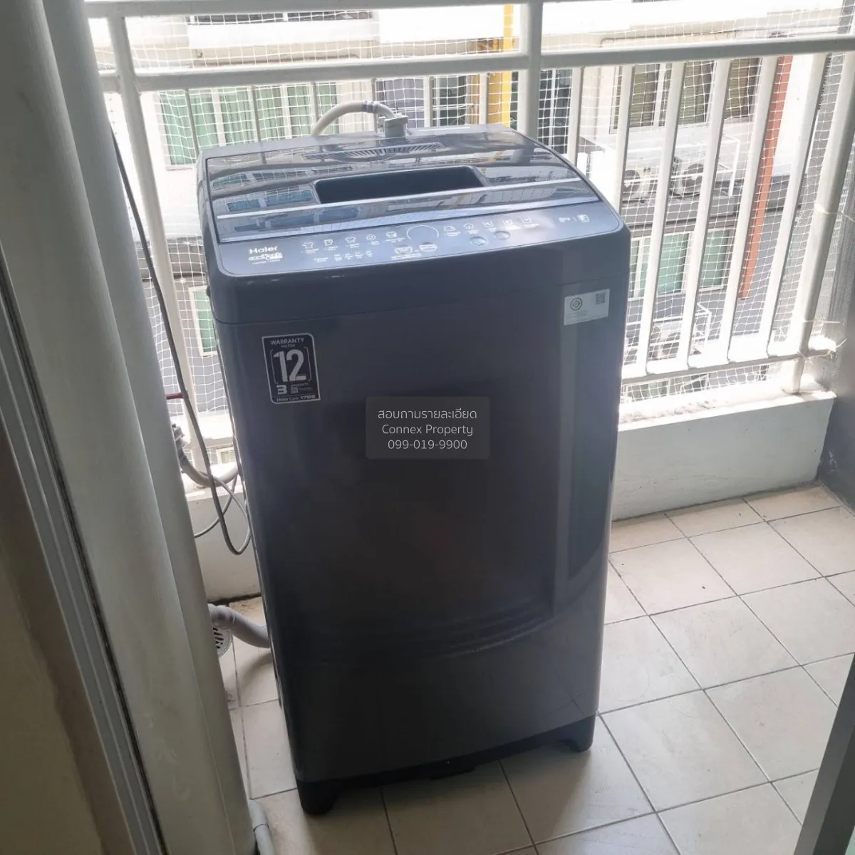 For Rent Condo , My Condo Sukhumvit 52 , BTS-On Nut , Bang Chak ,