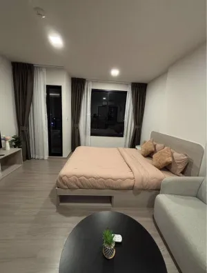 For Rent Condo , dcondo reef Phuket , Kathu , Kathu , Phuket , CX-177237